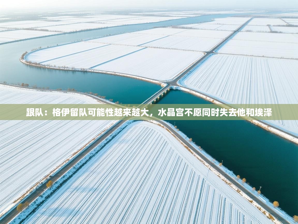 爱游戏体育在线app-跟队：格伊留队可能性越来越大，水晶宫不愿同时失去他和埃泽  第1张