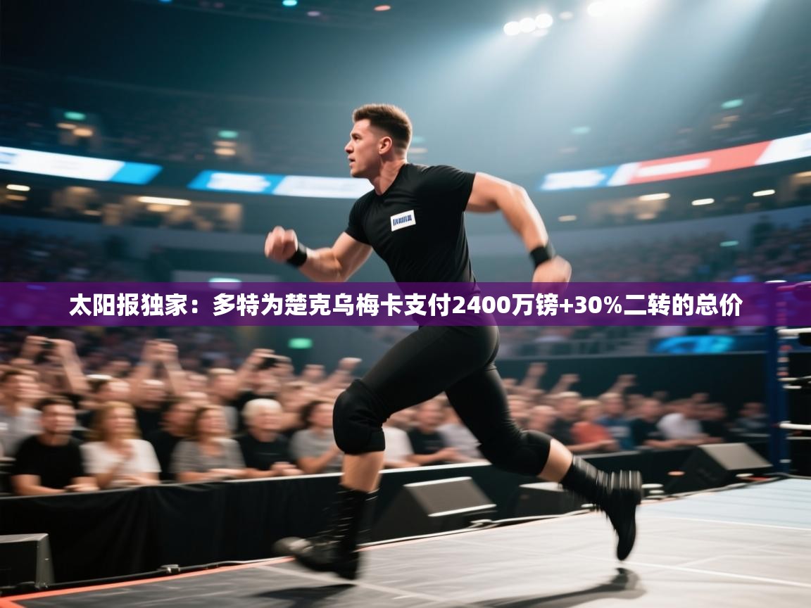 -太阳报独家：多特为楚克乌梅卡支付2400万镑+30%二转的总价  第1张