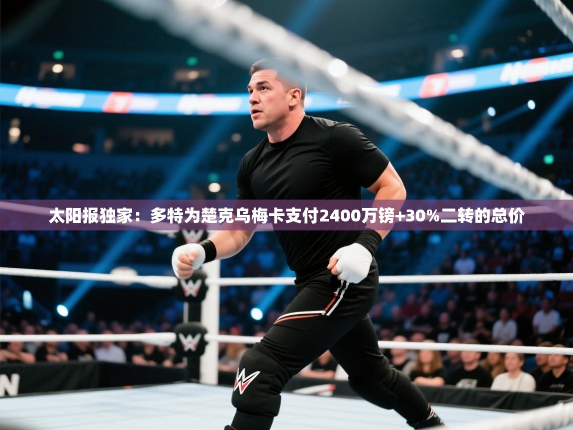 -太阳报独家：多特为楚克乌梅卡支付2400万镑+30%二转的总价  第2张