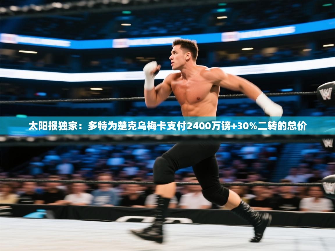 -太阳报独家：多特为楚克乌梅卡支付2400万镑+30%二转的总价  第3张