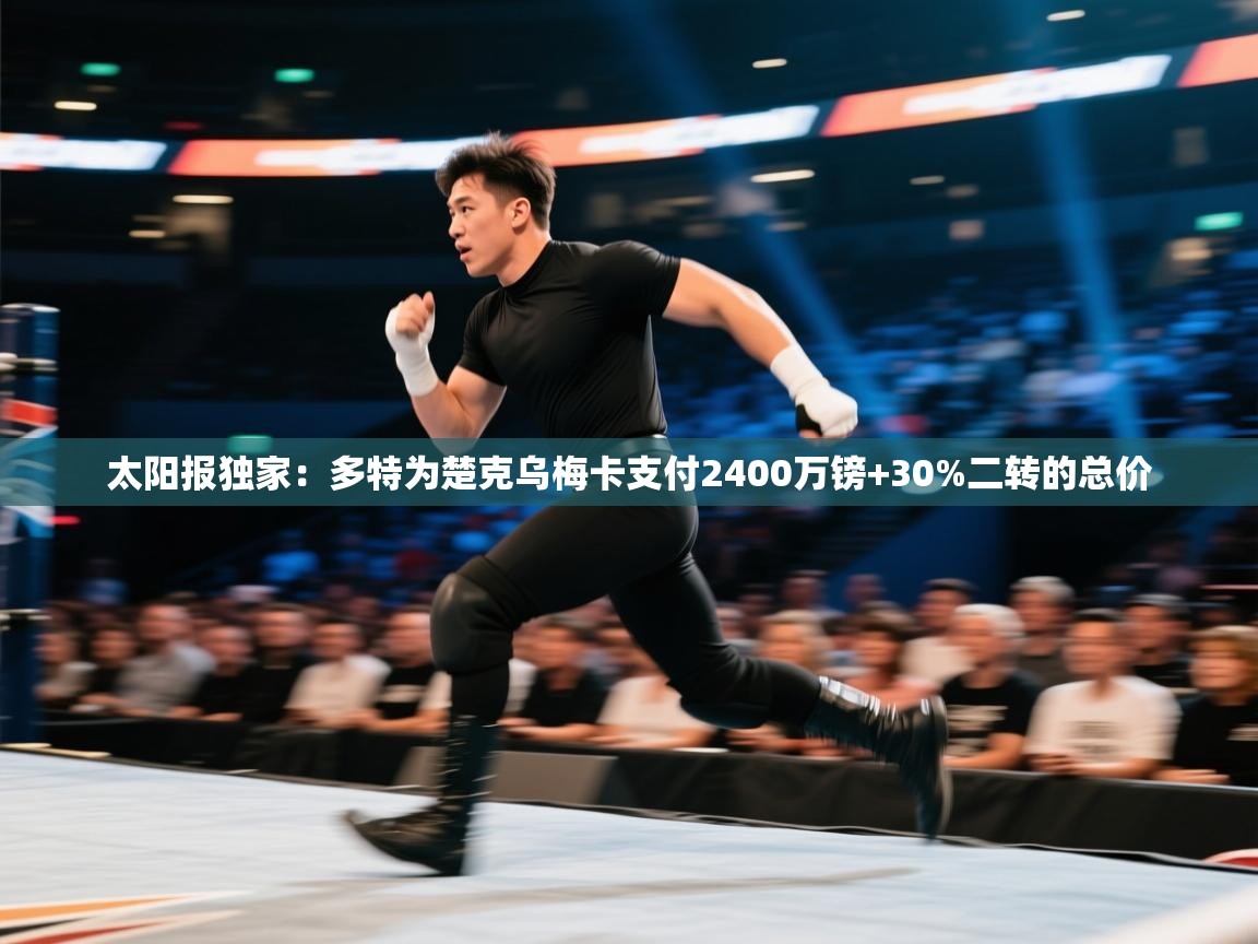 -太阳报独家：多特为楚克乌梅卡支付2400万镑+30%二转的总价  第4张