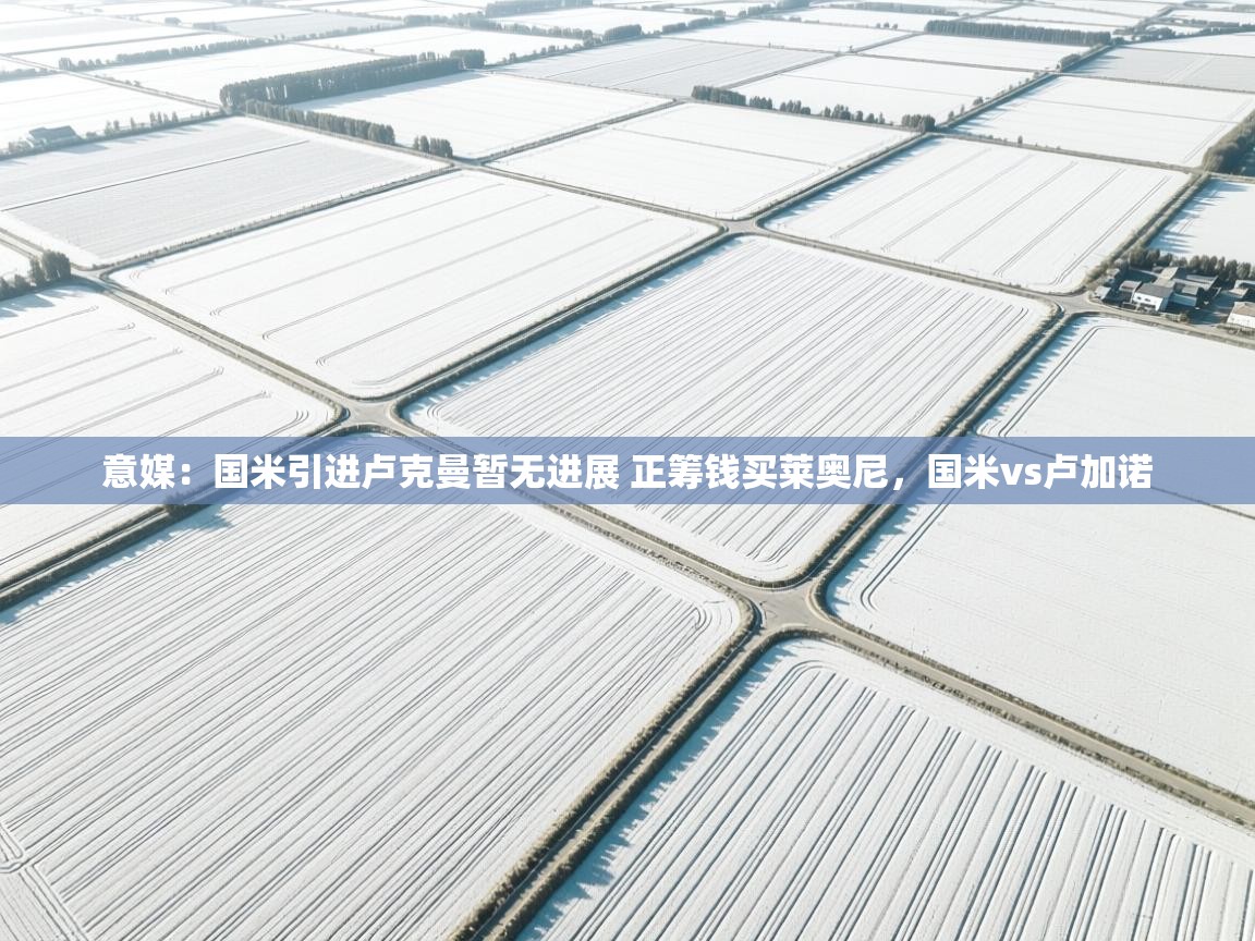 爱游戏体育直播-意媒：国米引进卢克曼暂无进展 正筹钱买莱奥尼，国米vs卢加诺  第3张