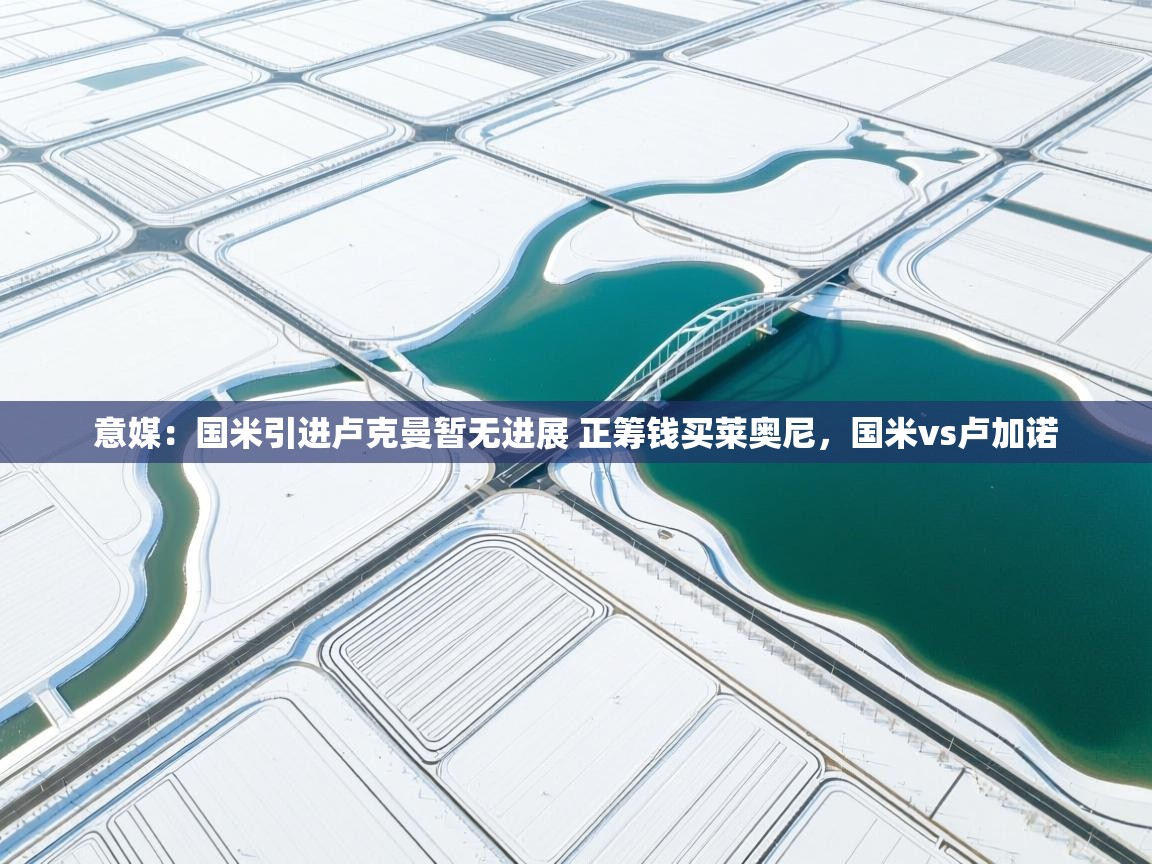 爱游戏体育直播-意媒：国米引进卢克曼暂无进展 正筹钱买莱奥尼，国米vs卢加诺  第4张