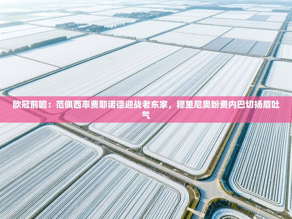 爱游戏体育入口app-欧冠前瞻:范佩西率费耶诺德迎战老东家,穆里尼奥盼费内巴切扬眉吐气 第1张