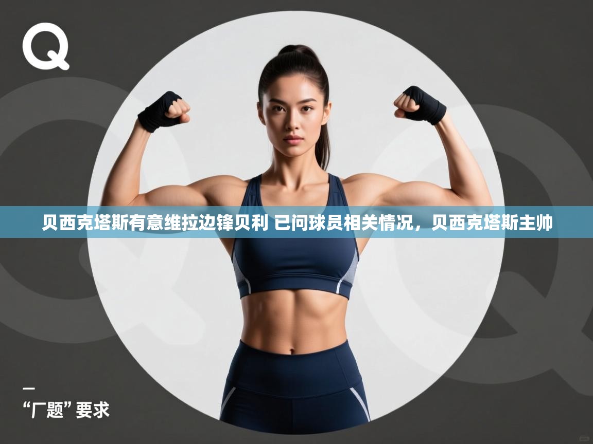 爱游戏体育入口app-贝西克塔斯有意维拉边锋贝利 已问球员相关情况，贝西克塔斯主帅  第2张