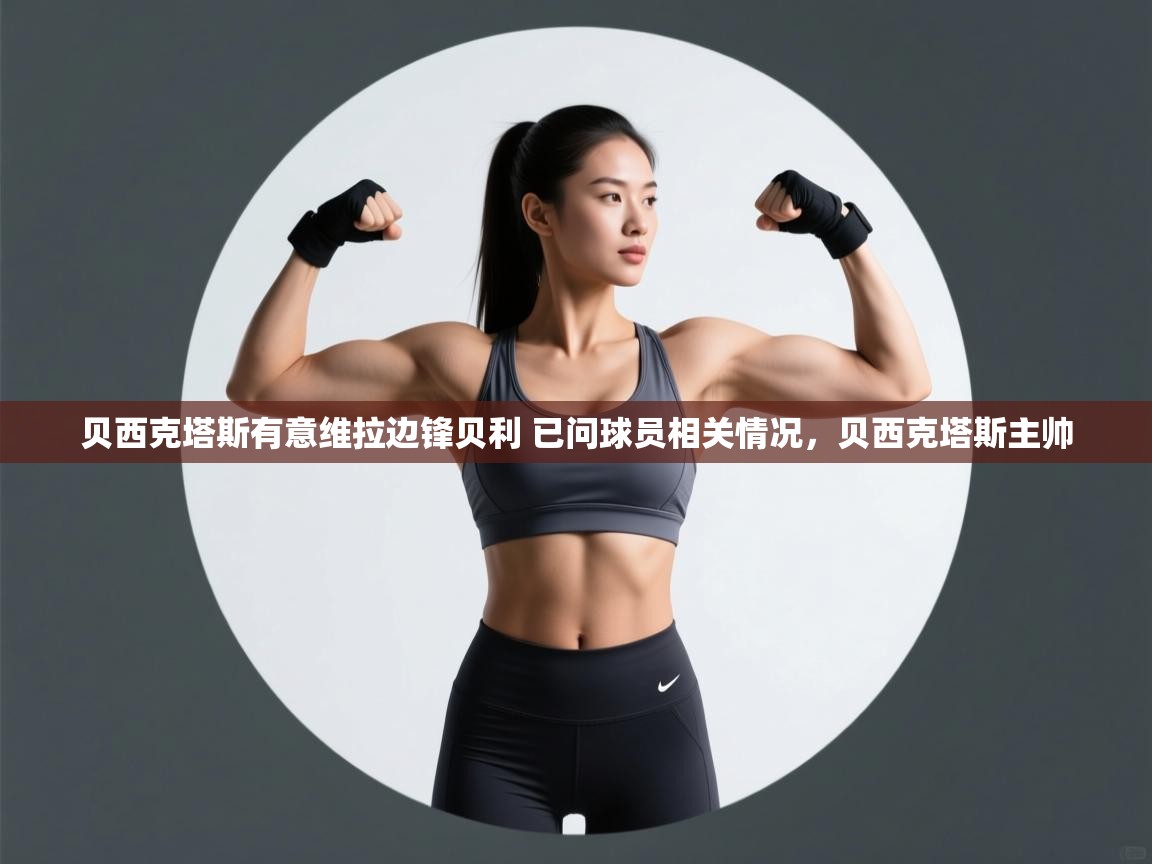 爱游戏体育入口app-贝西克塔斯有意维拉边锋贝利 已问球员相关情况，贝西克塔斯主帅  第4张