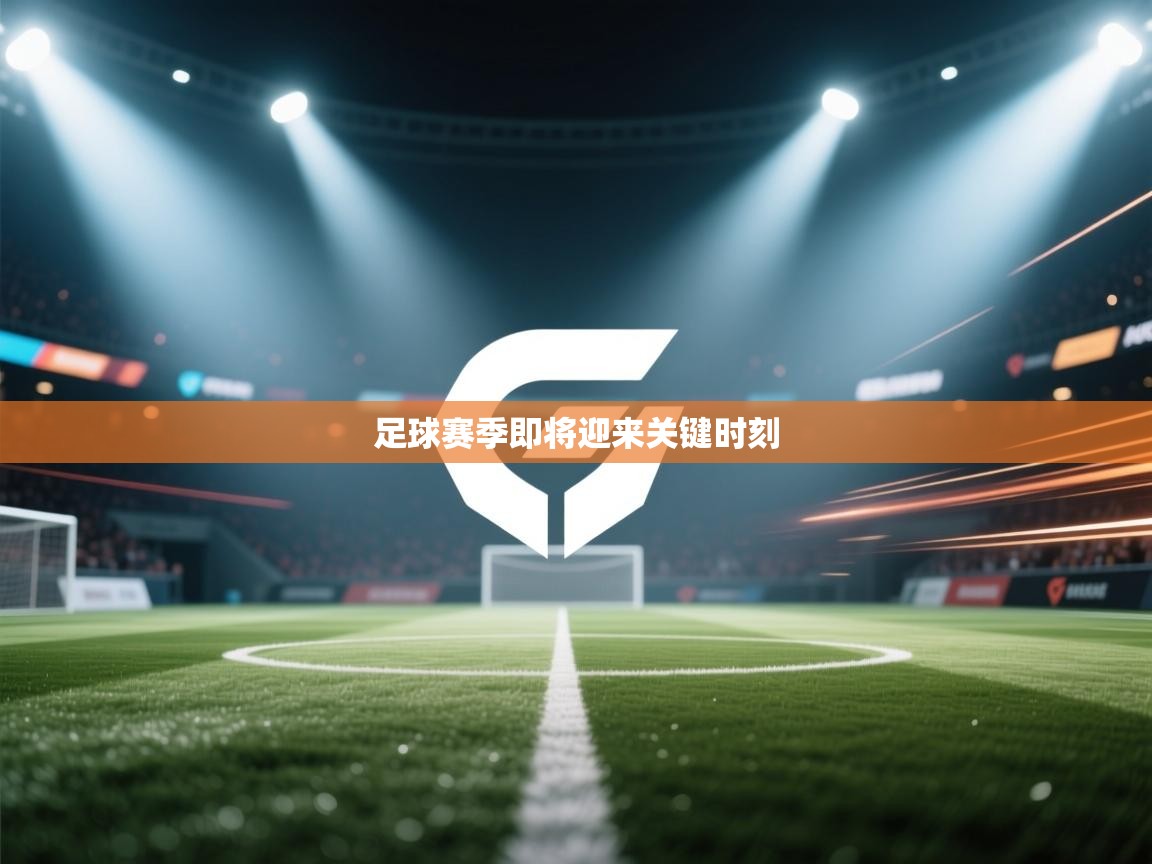 爱游戏娱乐app下载-足球赛季即将迎来关键时刻  第4张