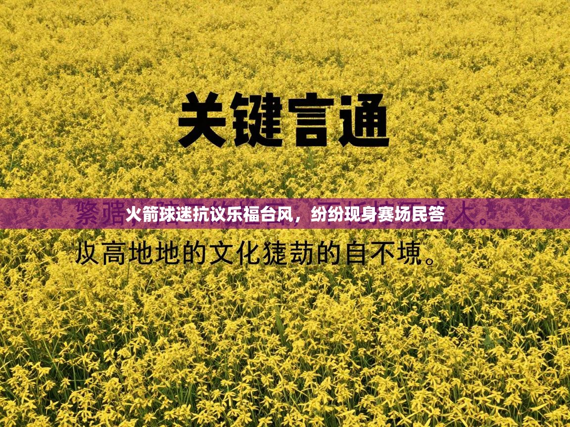 爱游戏体育娱乐赞助意甲-火箭球迷抗议乐福台风，纷纷现身赛场民答  第1张