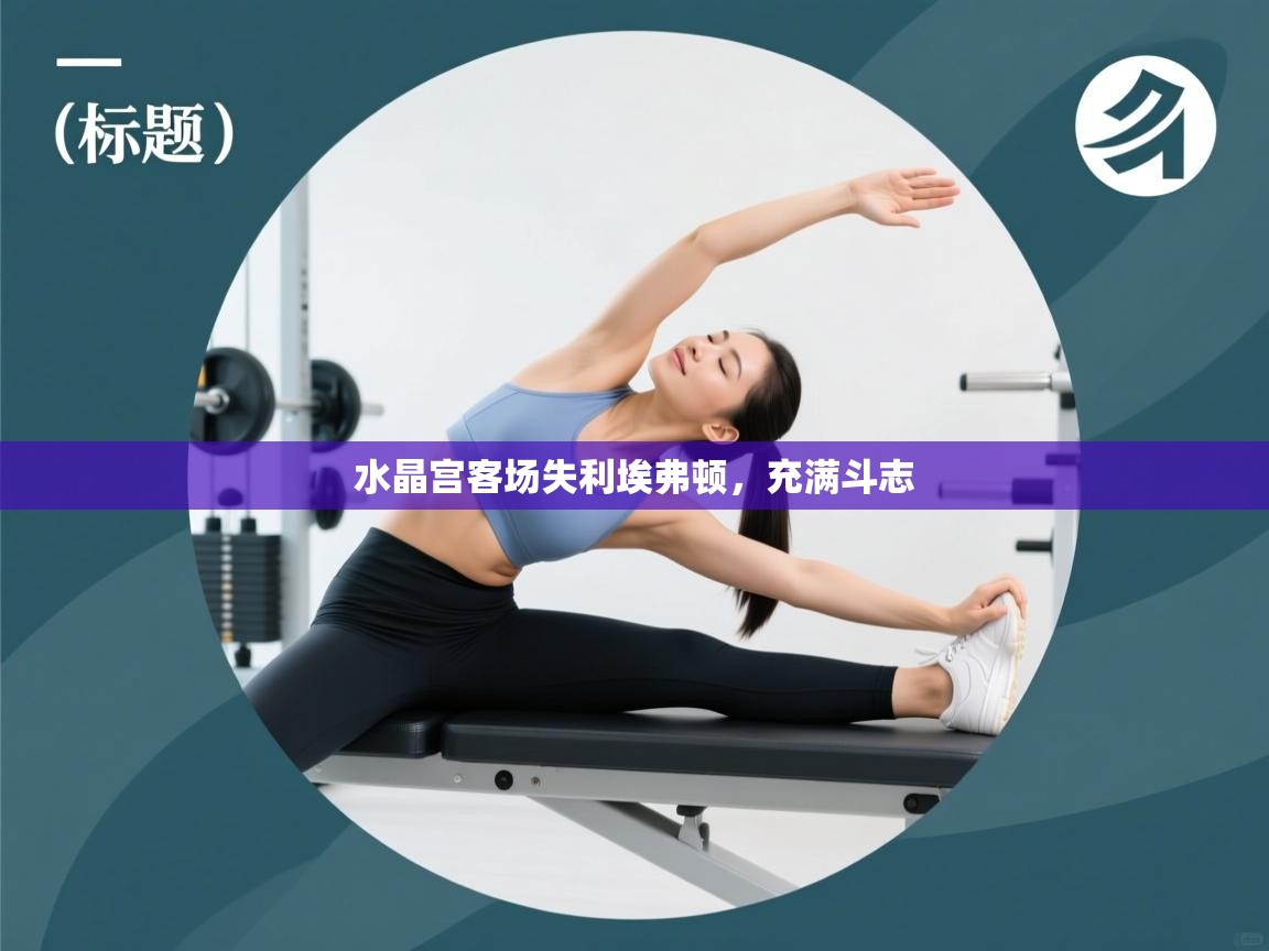 爱游戏真人体育娱乐-水晶宫客场失利埃弗顿,充满斗志 第1张