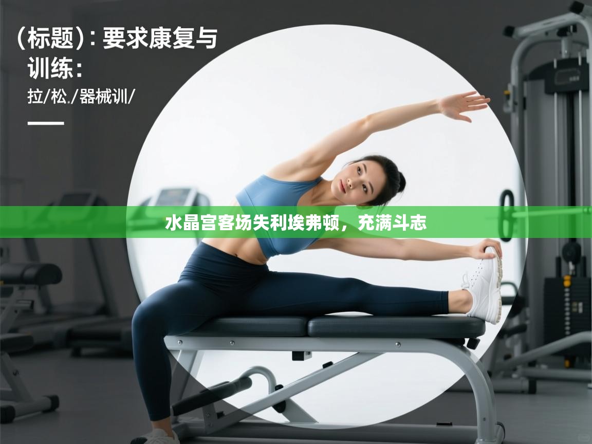 爱游戏真人体育娱乐-水晶宫客场失利埃弗顿,充满斗志 第3张