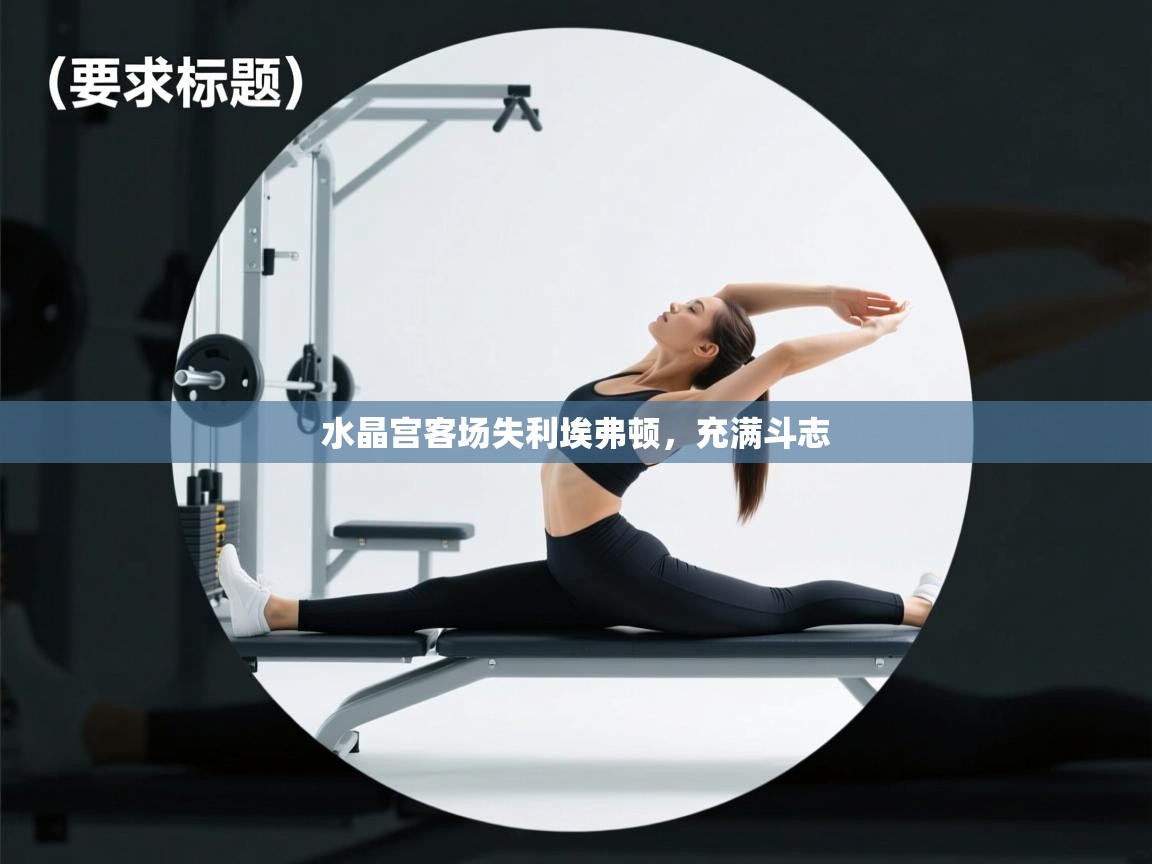 爱游戏真人体育娱乐-水晶宫客场失利埃弗顿,充满斗志 第4张