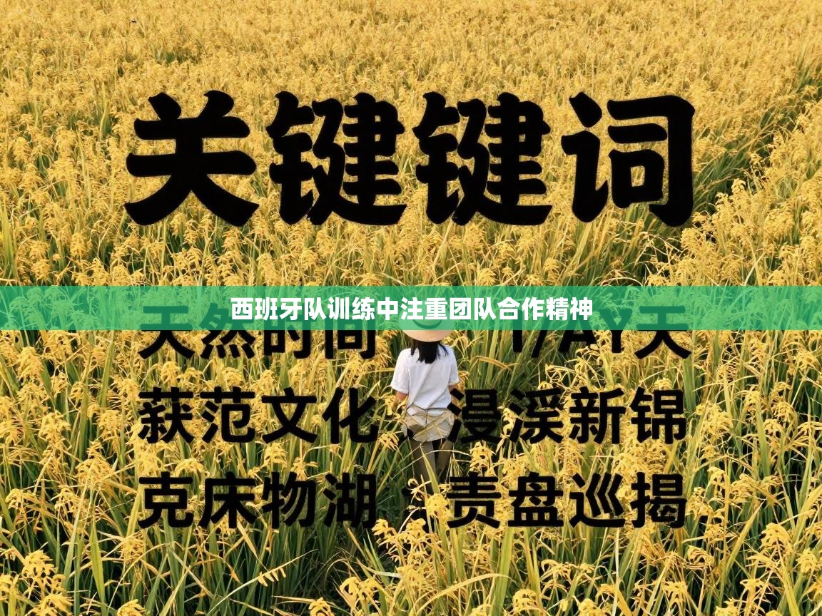 爱游戏体育直播-西班牙队训练中注重团队合作精神 第1张