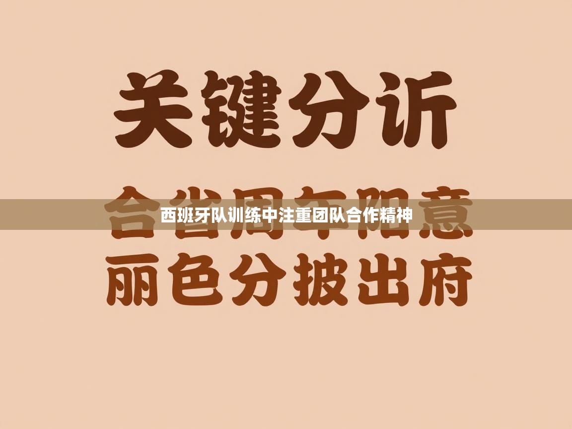 爱游戏体育直播-西班牙队训练中注重团队合作精神 第3张