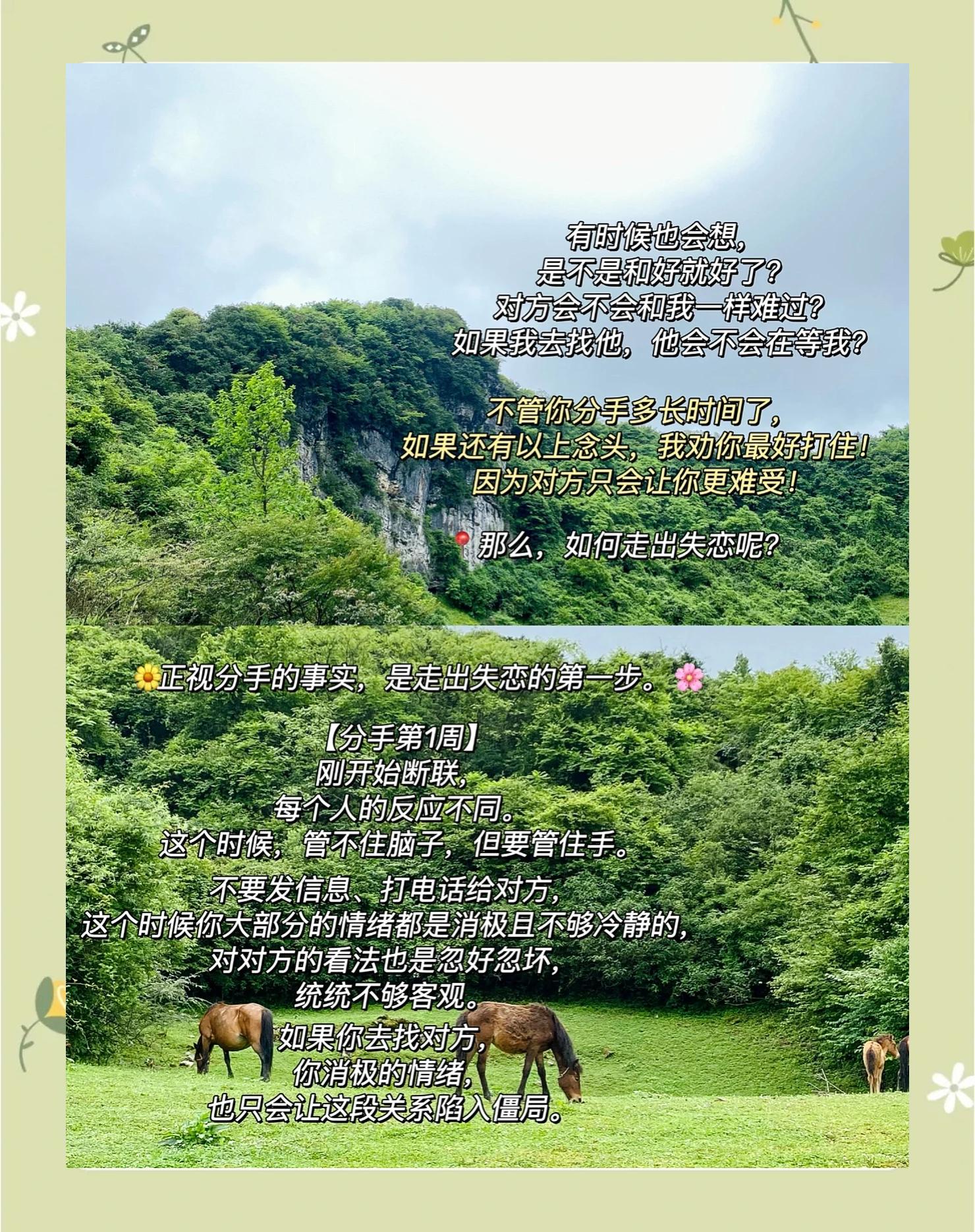 狼队落败后需积极调整走出低谷